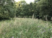 Działka rekreacyjna Rusocice. Zdjęcie 3