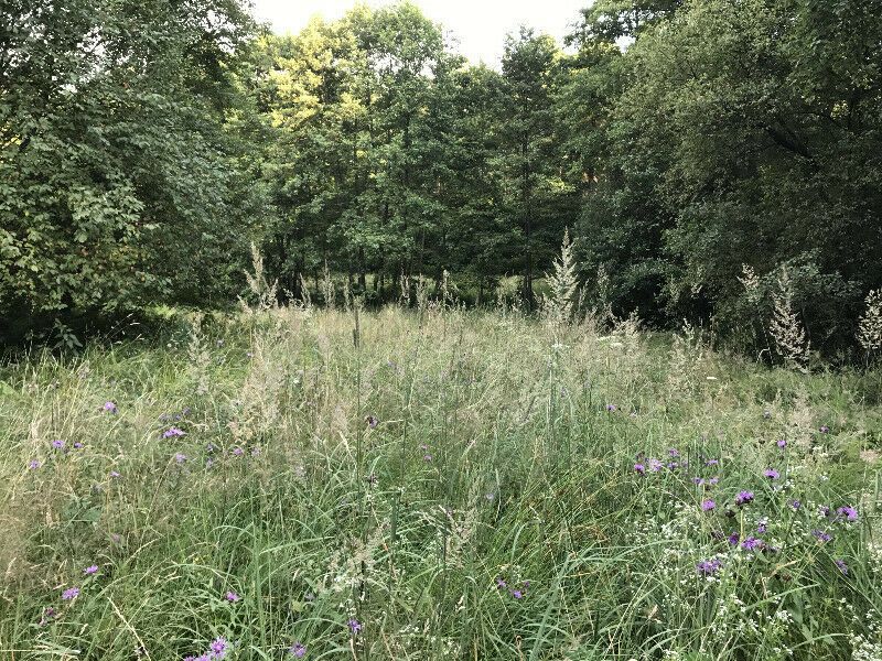 Działka rekreacyjna Rusocice. Zdjęcie 4