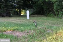 Działka inwestycyjna Sosnowiec Stary Sosnowiec, ul. Wiejska. Zdjęcie 4