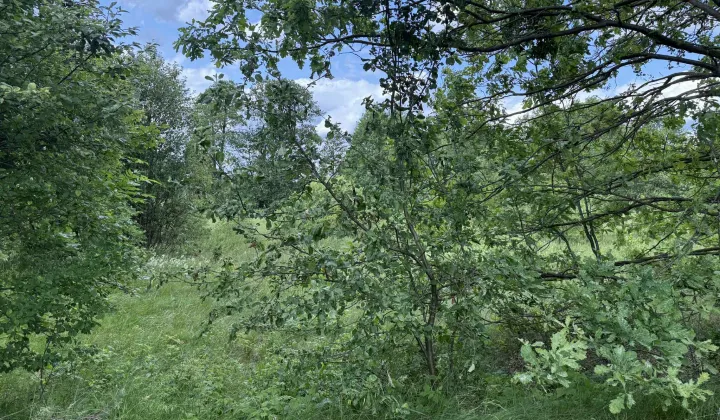 Działka rolna Stare Budy