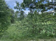 Działka rolna Stare Budy