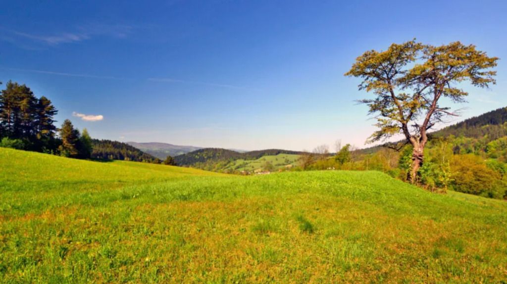 Działka rolna Nadma