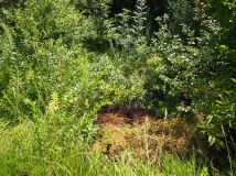 Działka rekreacyjna Śladów. Zdjęcie 3