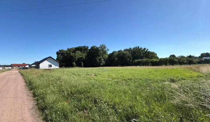 Działka rolno-budowlana Bierzwnik, ul. Mickiewicza