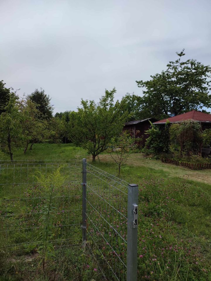 Działka rod Gdańsk Owczarnia, ul. Owczarnia. Zdjęcie 4