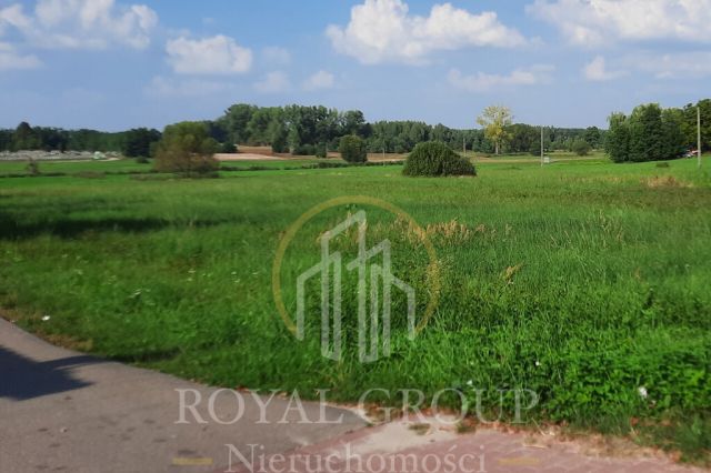 Działka rolna Rudno. Zdjęcie 7