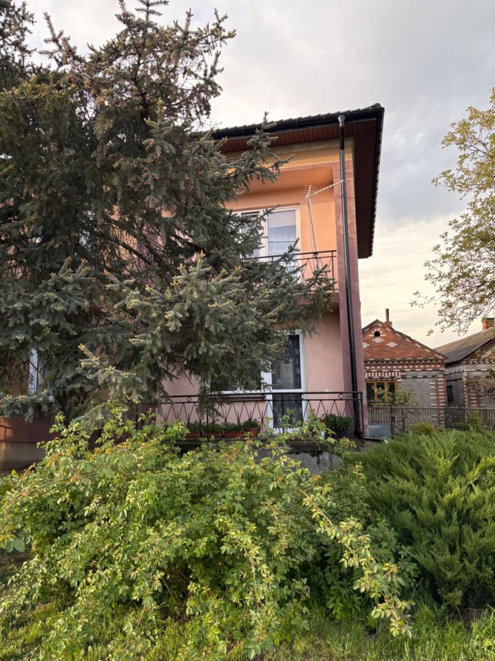 gospodarstwo Krzak. Zdjęcie 1