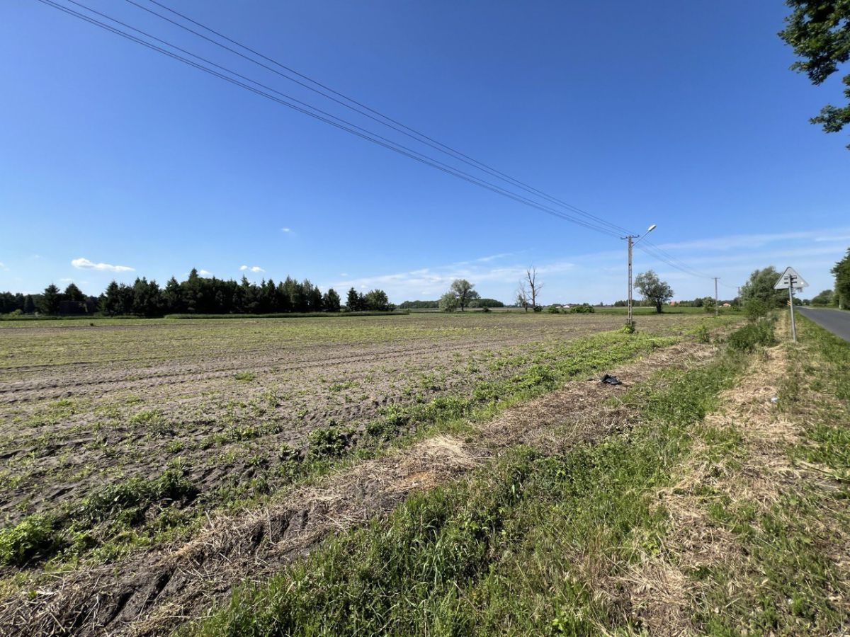 Działka budowlana Lubiejew. Zdjęcie 4