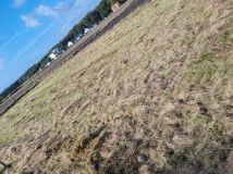 Działka budowlana Bachorzew. Zdjęcie 1