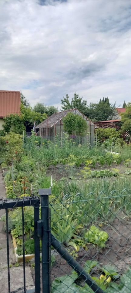 Działka rod Goleniów, ul. Polna. Zdjęcie 6