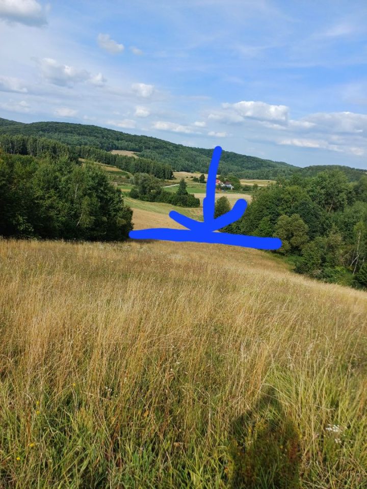 Działka rolna Majdan Abramowski. Zdjęcie 2