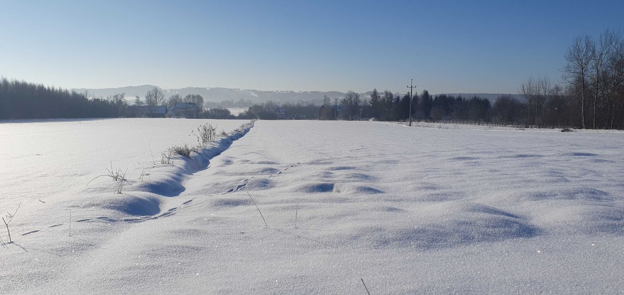 Działka budowlana Wolbrom, ul. Wyzwolenia