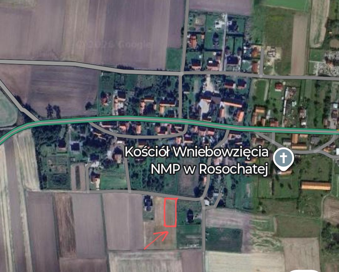 Działka budowlana Rosochata. Zdjęcie 2