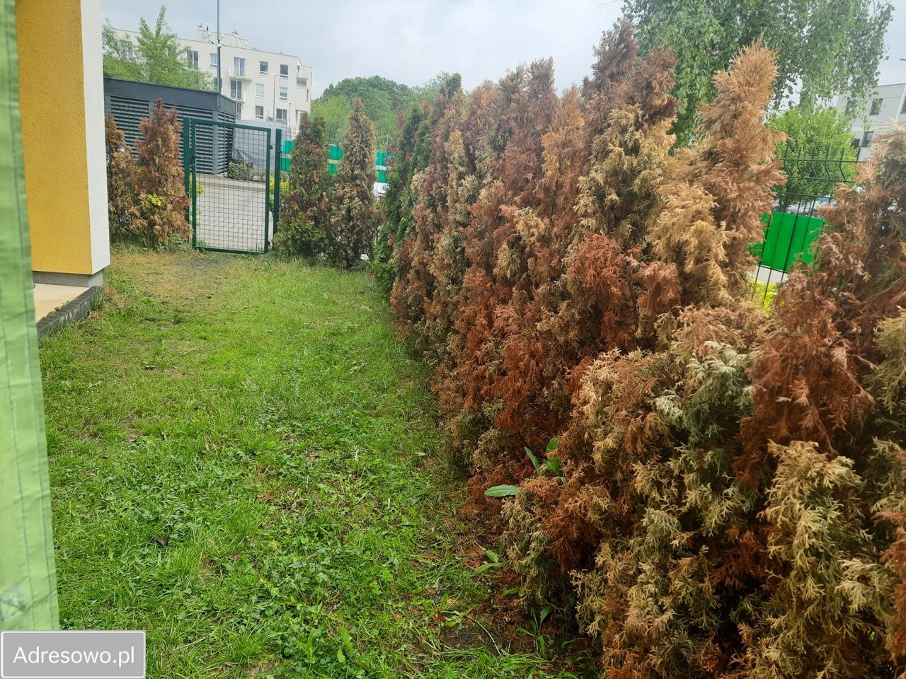 Mieszkanie 3-pokojowe Zamienie, ul. Waniliowa. Zdjęcie 6