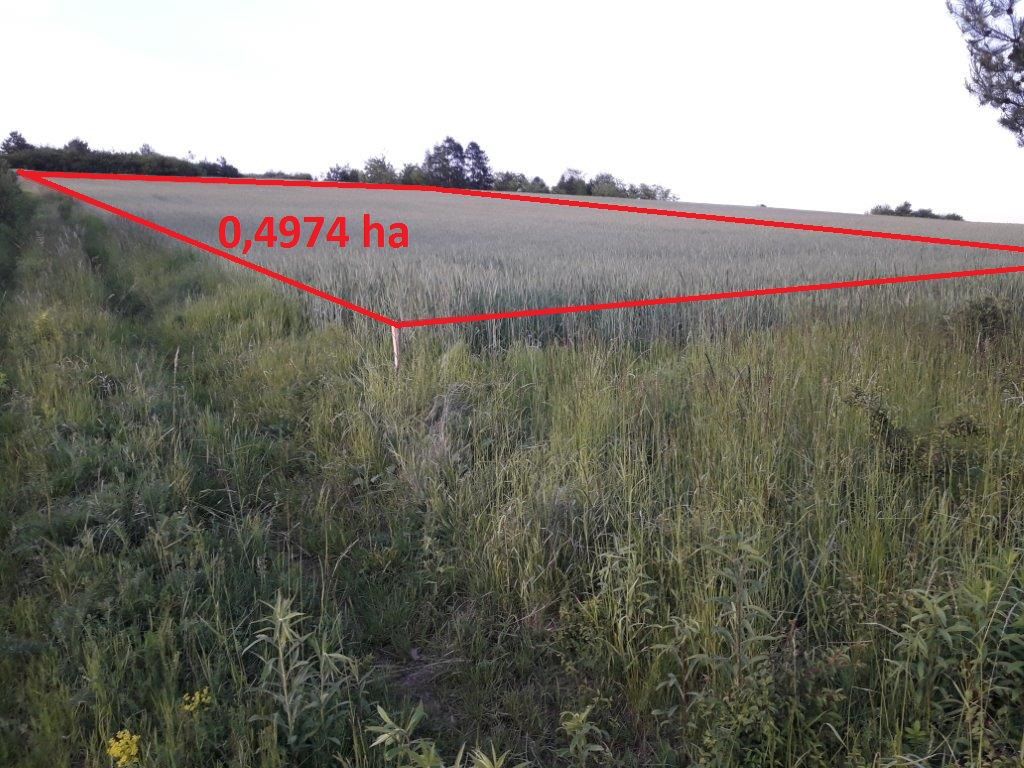 Działka rolna Kocikowa, ul. Wola Kocikowa