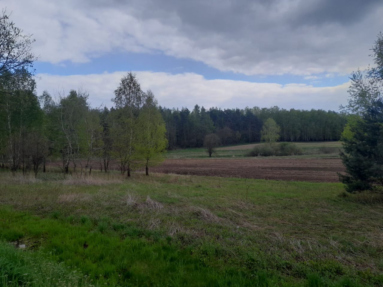 Działka inwestycyjna Młyny. Zdjęcie 9