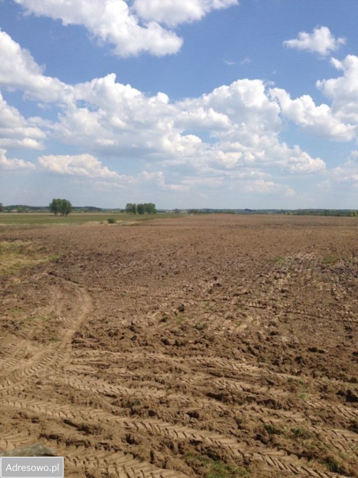 Działka rolna Długie. Zdjęcie 2