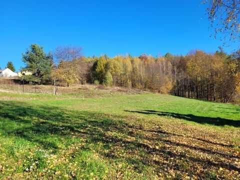 Działka budowlana Borówki. Zdjęcie 6