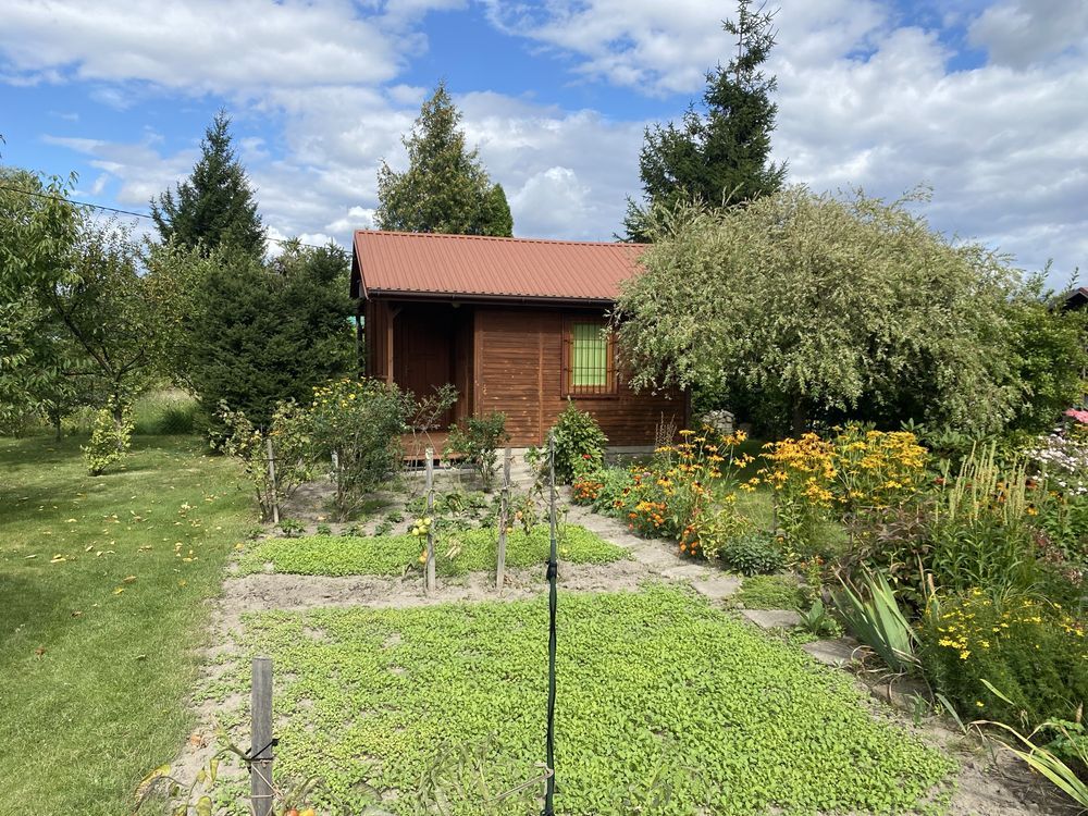 Działka rod Siedlce. Zdjęcie 1