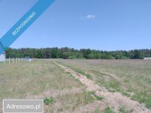 Działka rolno-budowlana Krosino. Zdjęcie 2