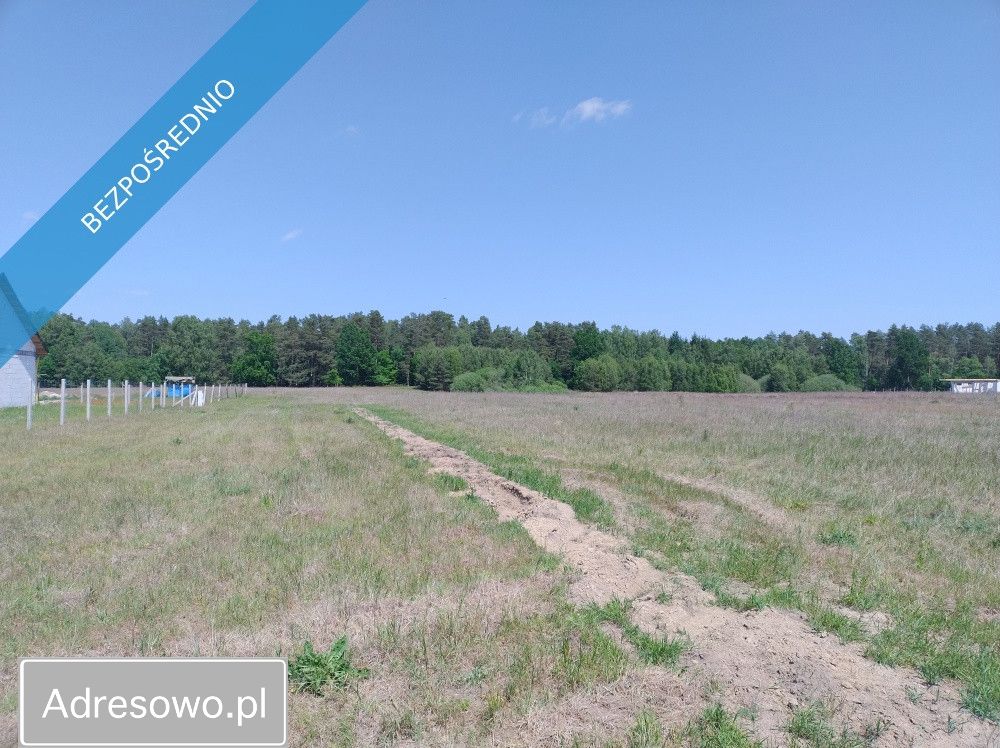 Działka rolno-budowlana Krosino. Zdjęcie 3