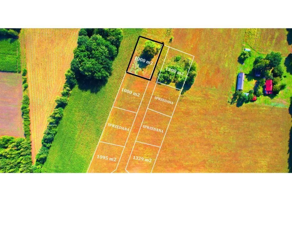 Działka budowlana Kaznów-Kolonia Pod Lasem. Zdjęcie 2