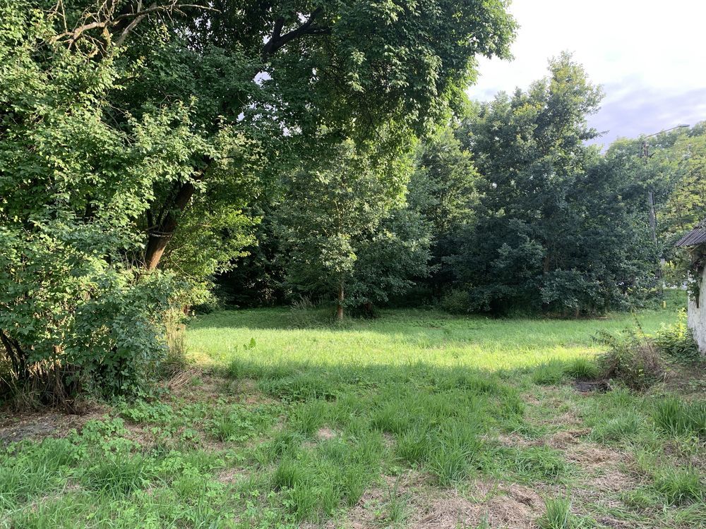 Działka rolno-budowlana Sarnów. Zdjęcie 5