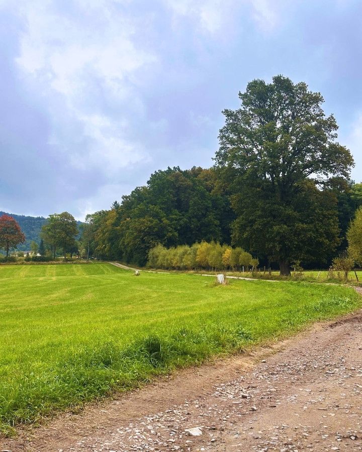 Działka budowlana Janowice Wielkie. Zdjęcie 16
