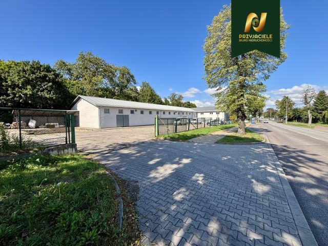 Lokal Tczew, ul. 30 Stycznia. Zdjęcie 1