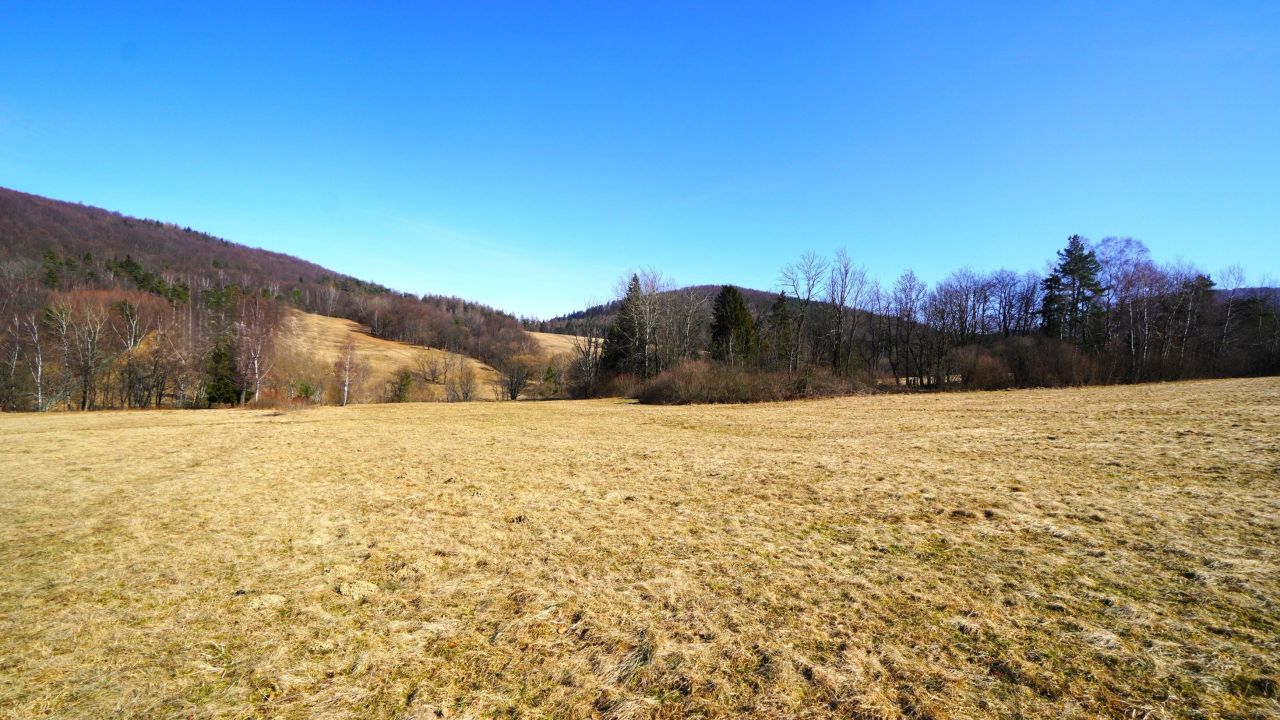 Działka rolna Regietów. Zdjęcie 8