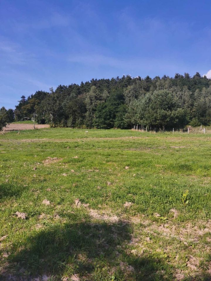 Działka budowlana Rożnów. Zdjęcie 6