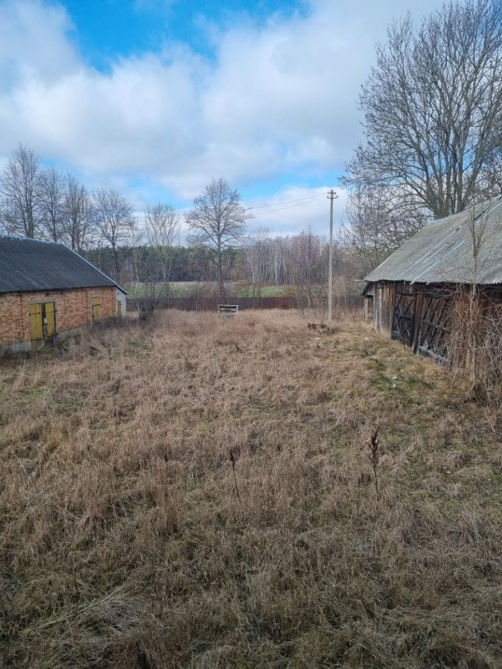 Działka rolna Bruszewo-Borkowizna. Zdjęcie 4