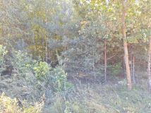 Działka rolna Podozierany. Zdjęcie 4