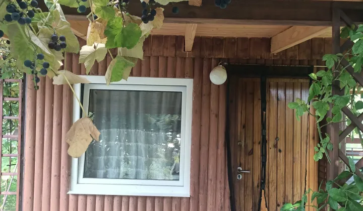 Działka rod Ostrów Wielkopolski, ul. Strzelecka