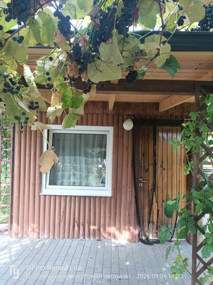 Działka rod Ostrów Wielkopolski, ul. Strzelecka. Zdjęcie 1