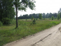 Działka budowlana Wydmusy. Zdjęcie 3