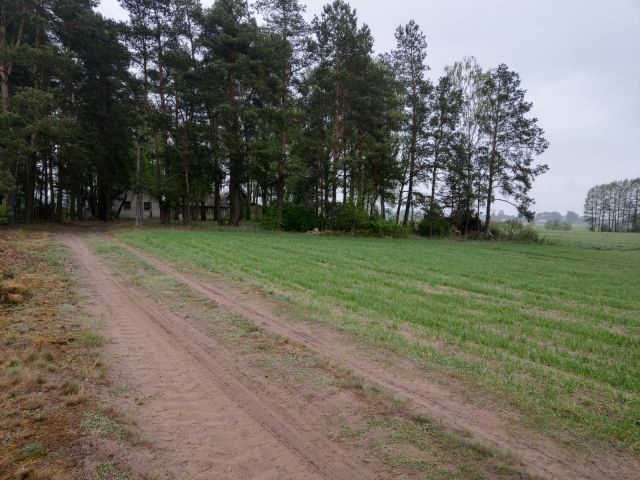 Działka siedliskowa Wolkowe. Zdjęcie 1