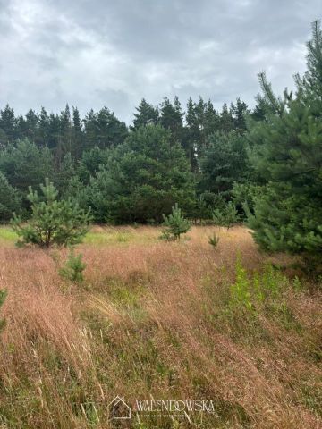 Działka budowlana Smołdzino. Zdjęcie 1