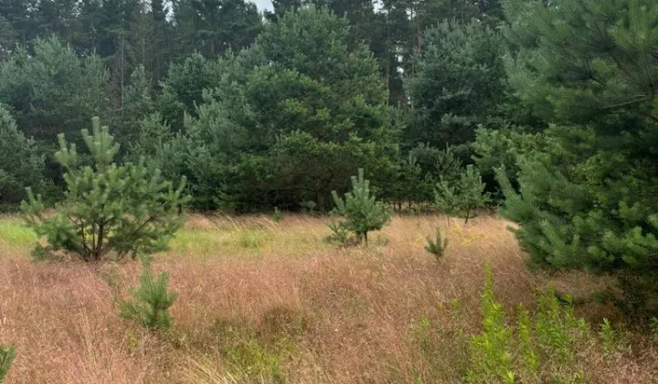 Działka budowlana Smołdzino