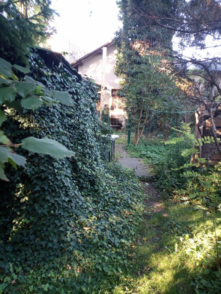 inny Ciechanów Centrum, ul. Fabryczna. Zdjęcie 5