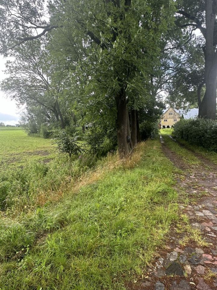 gospodarstwo Markusy. Zdjęcie 4