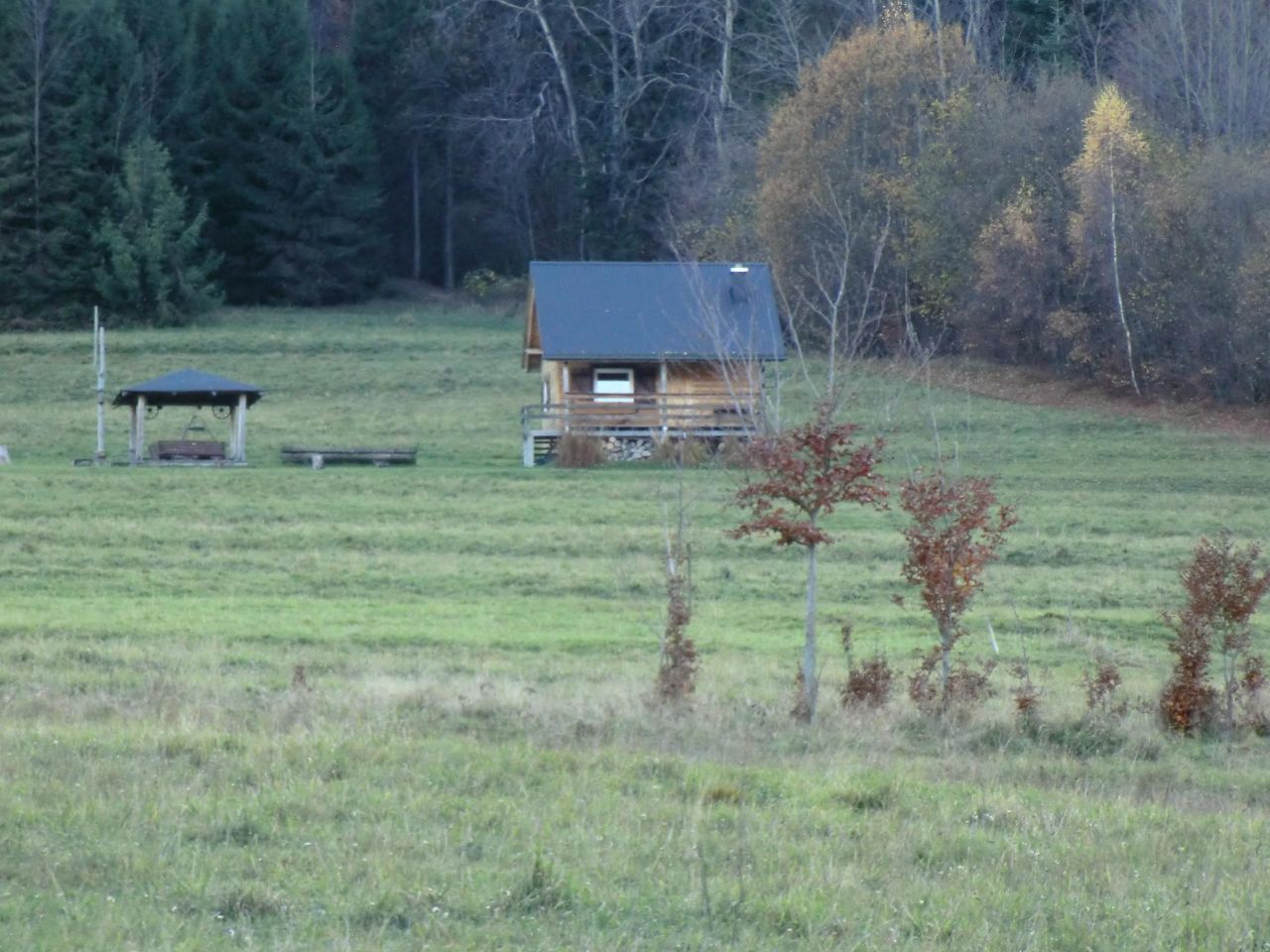 Działka rekreacyjna Juszczyna Puścizna. Zdjęcie 7