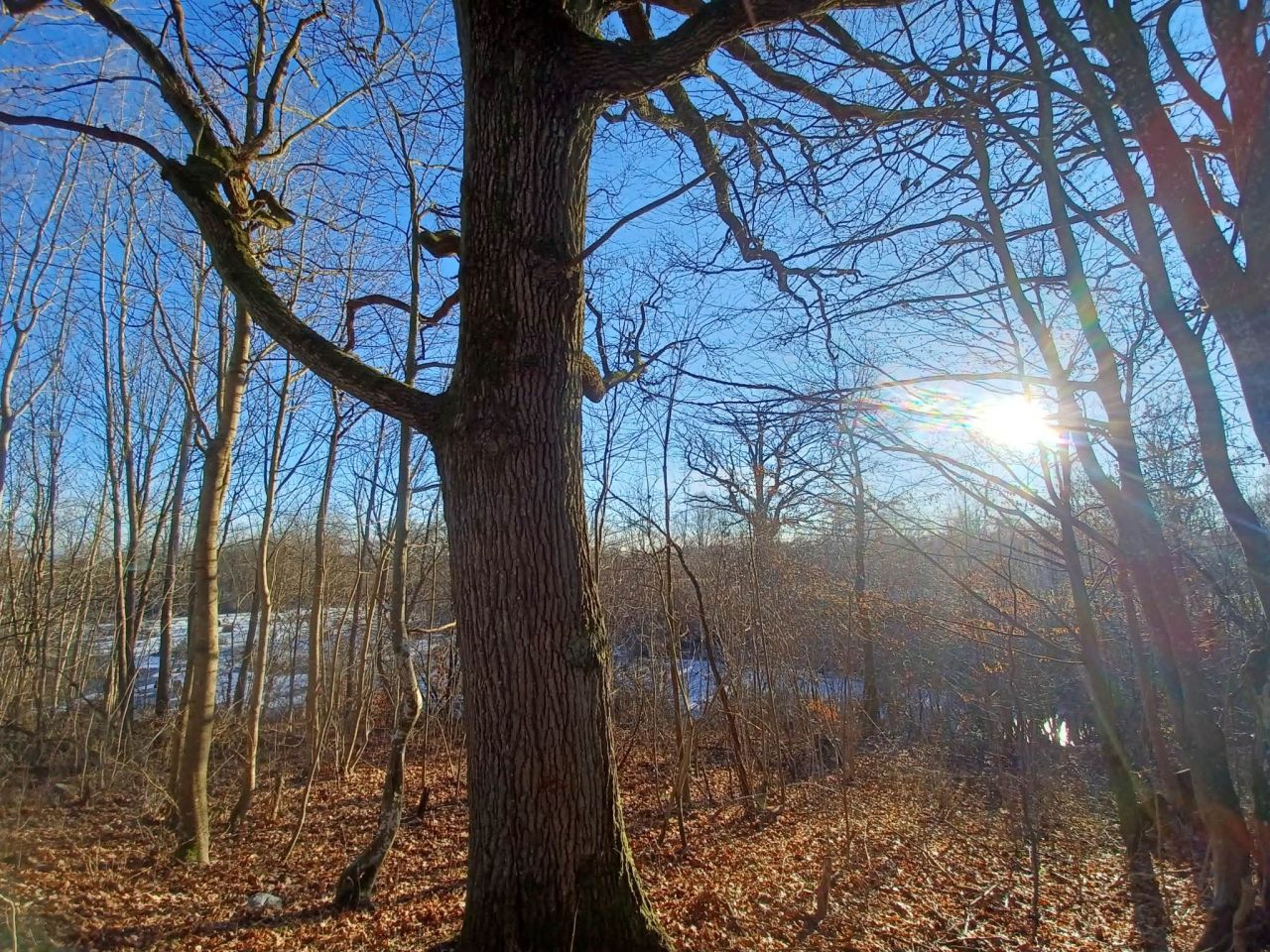 Działka rolna Krągłe. Zdjęcie 13