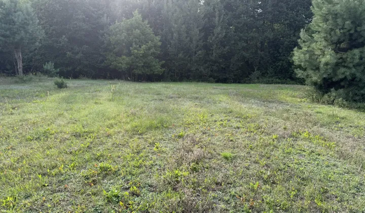 Działka budowlana Lesica, ul. Słoneczna