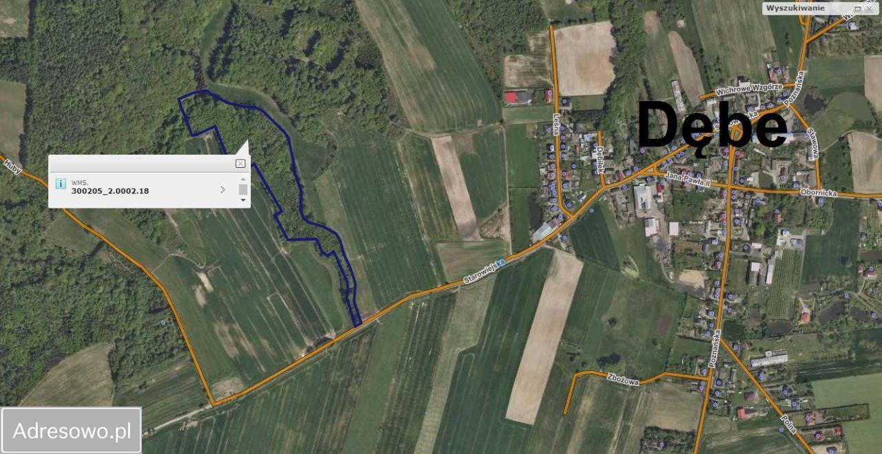 Działka leśna Dębe. Zdjęcie 2