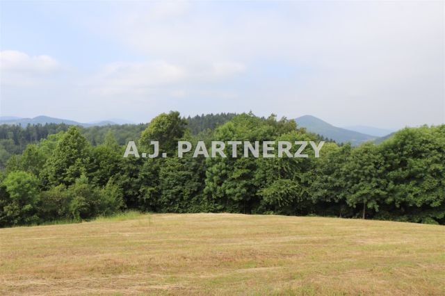 Działka Pasierbiec. Zdjęcie 10