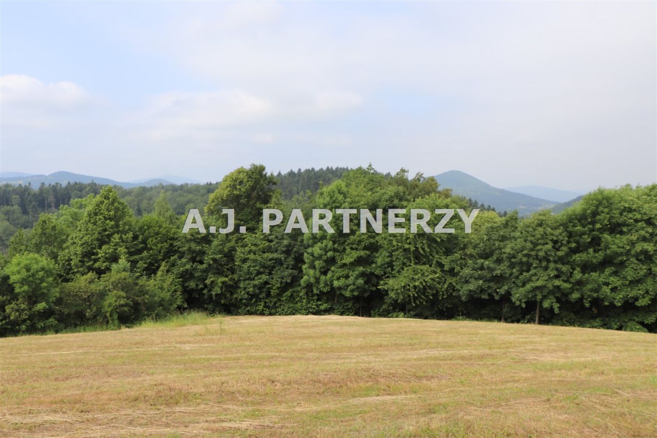 Działka Pasierbiec. Zdjęcie 10