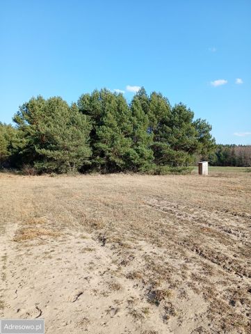 Działka rolna Nowa Wieś. Zdjęcie 1