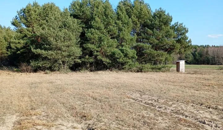 Działka rolna Nowa Wieś, ul. Sosnowa