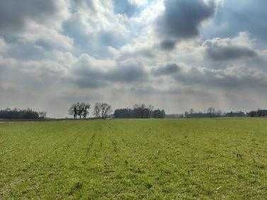 Działka budowlana Rumunki Głodowskie. Zdjęcie 1